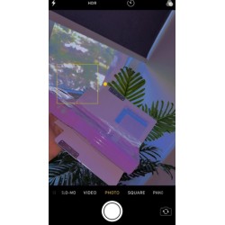 مقلمه بوصله