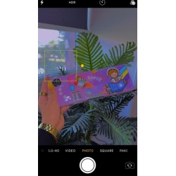 مقلمه بوصله