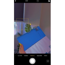 مقلمه ديزني